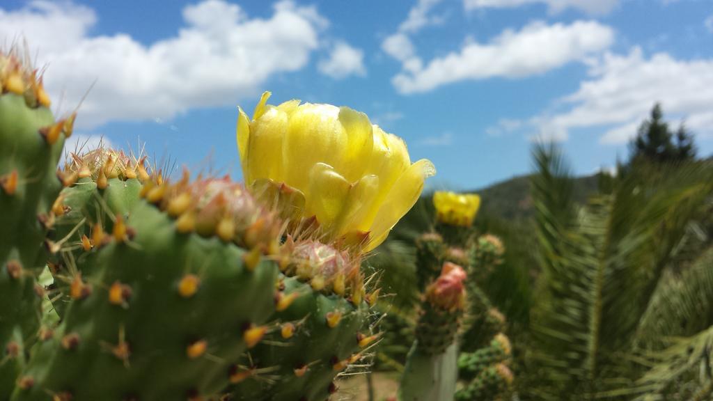 La Suite Di Segesta Calatafimi Bagian luar foto